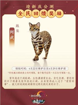 杀戮江湖天龙八部私服